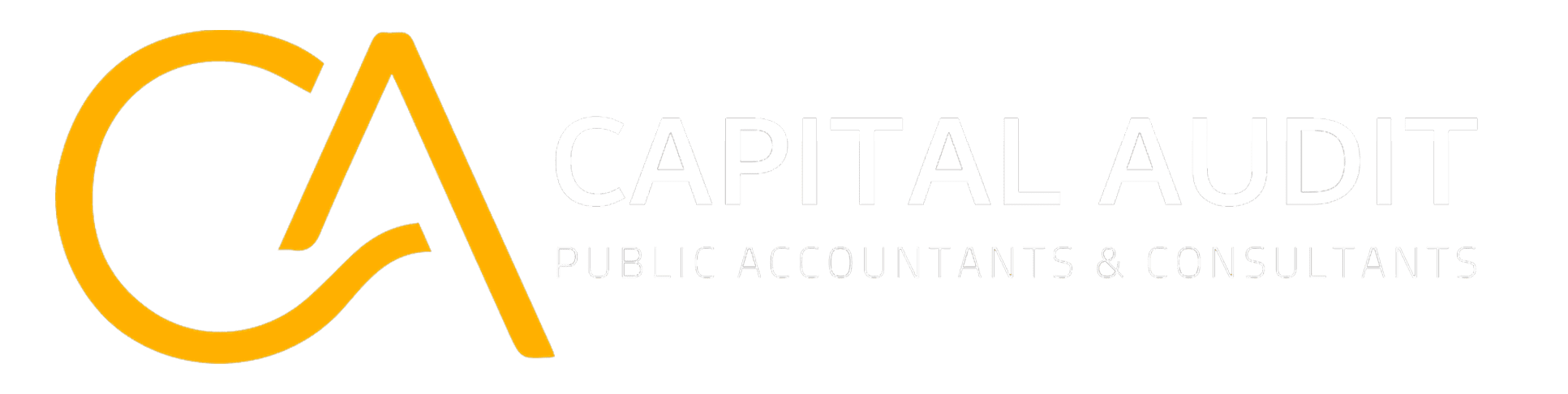 Capital Audit